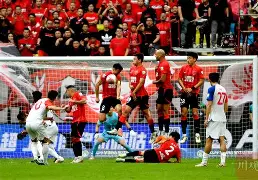 乐鱼体育官网-登杆前电杆检查的规定