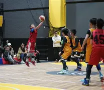 中国乐鱼体育官网-10块关键肌口诀